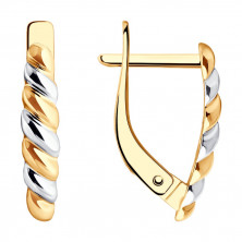 51-120-02213-1 Серьги (Золото 585)