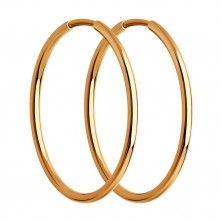 51-124-01589-1 Серьги (Золото 585)