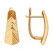 51-120-02745-1 Серьги (Золото 585)